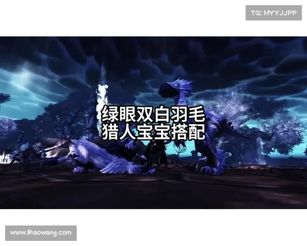 魔兽世界猎人:驭兽猎技,驰骋征战 魔兽世界猎人:驭兽猎技,驰骋征战